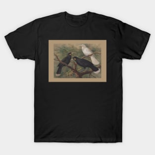 Three huia, by Johannes Keulemans T-Shirt